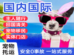 齐齐哈尔空运代理国际宠物托运 【国